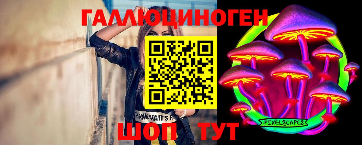 Псилоцибиновые грибы GOLDEN TEACHER  Галлюциногенные грибы MAGIC MUSHROOMS  Моздок  Вход с VPN 